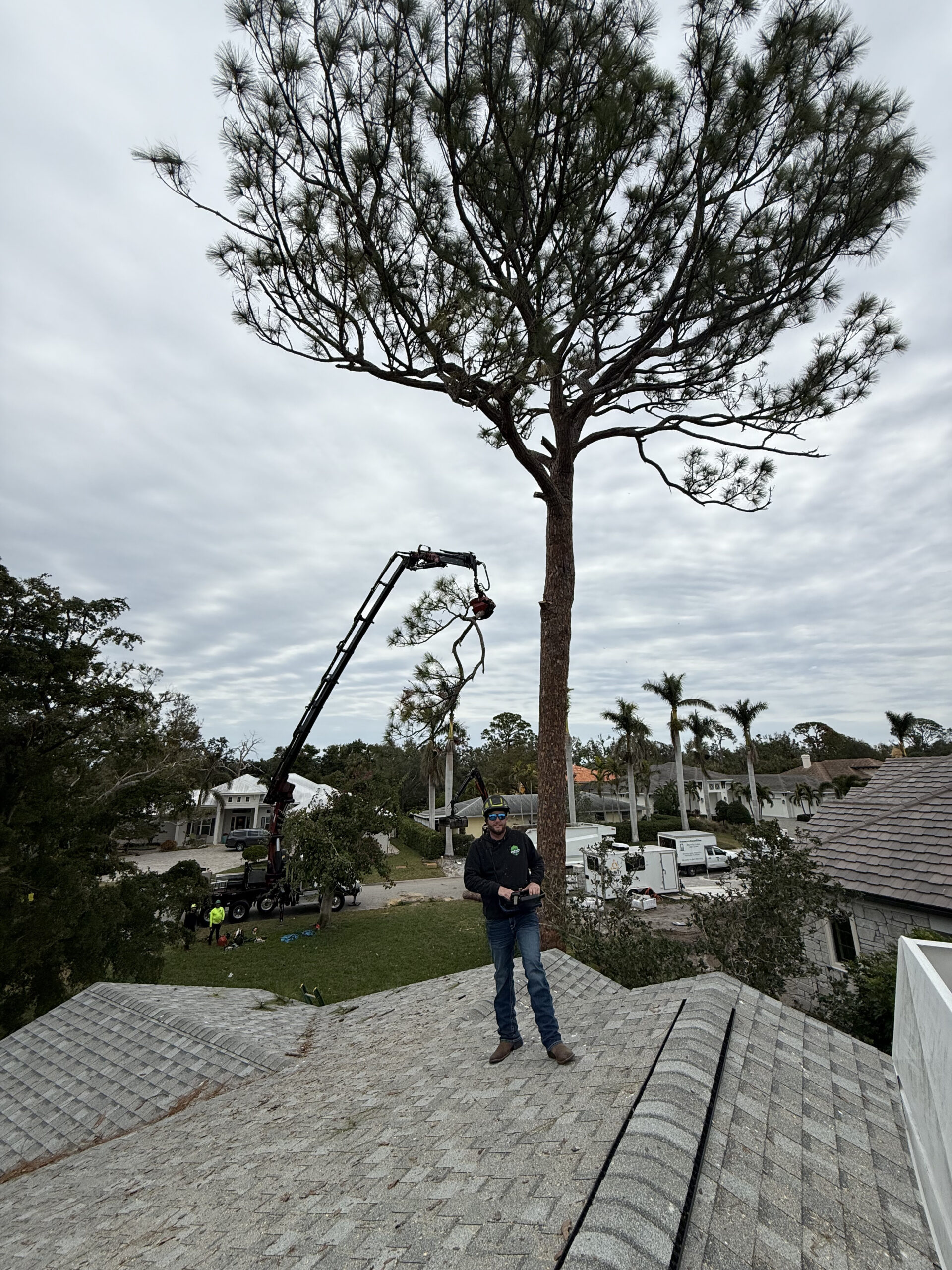 Owner of Harley's Tree Service on a room with a crane in the background