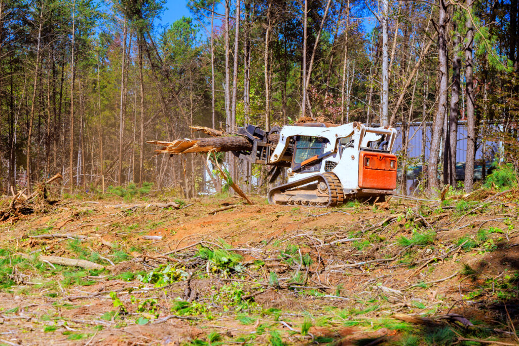 Trees are uprooted when contractor to prepare land for construction