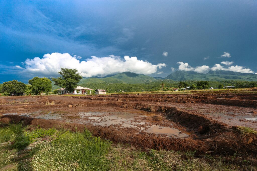 Wide-shot photo of a muddy field after rainfall